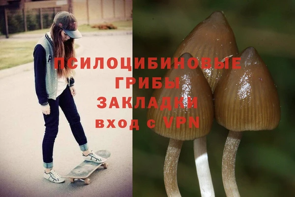 тгк Карпинск