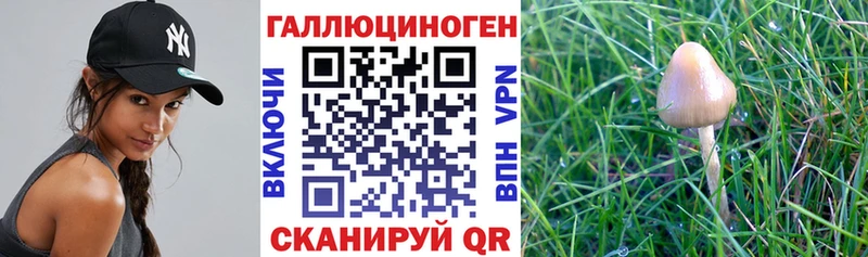 Купить  Дюртюли  Галлюциногенные грибы ЛСД 